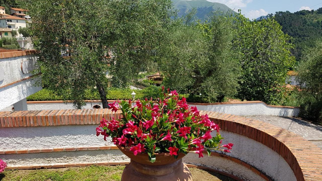 Villa Casa Vittoria Corsanico-Bargecchia Exterior foto