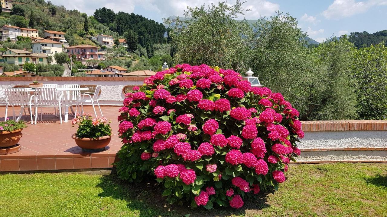 Villa Casa Vittoria Corsanico-Bargecchia Exterior foto