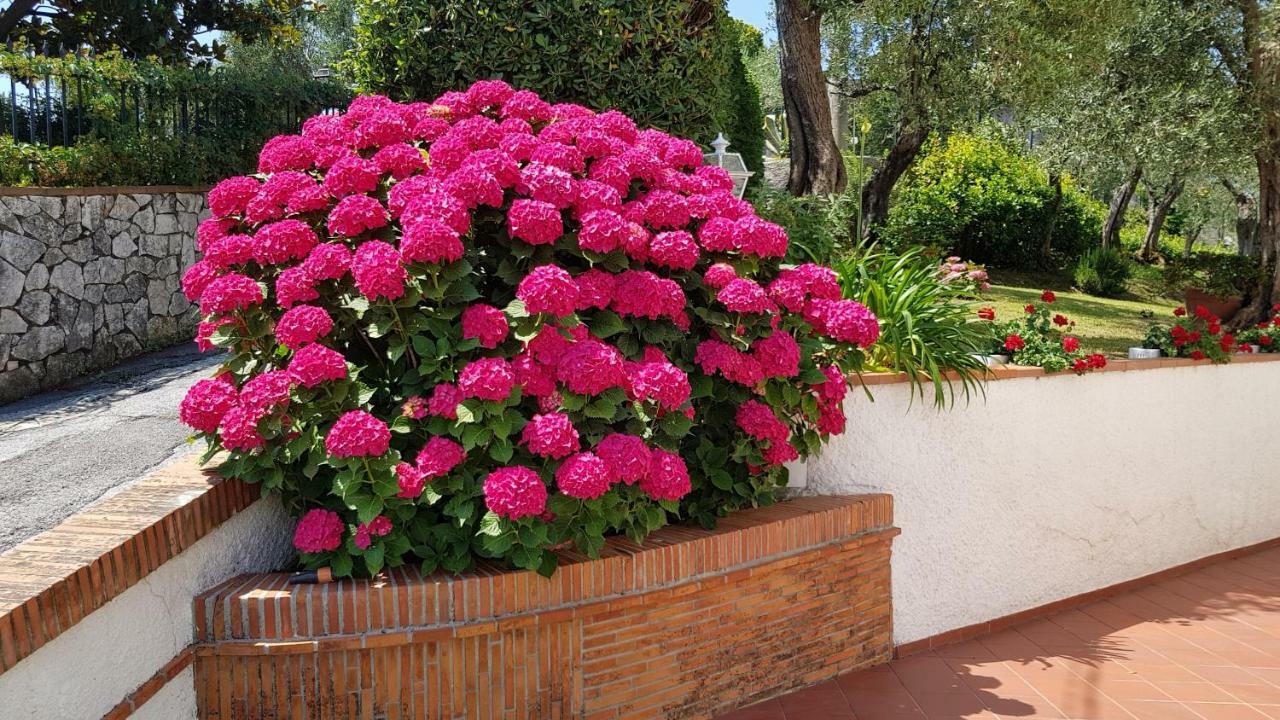 Villa Casa Vittoria Corsanico-Bargecchia Exterior foto